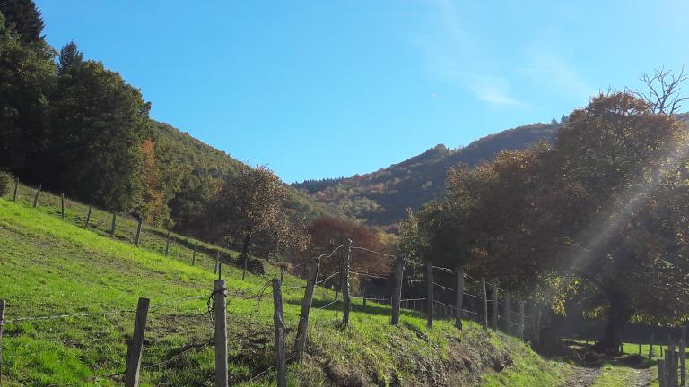 Rando des coteaux d'Argentat